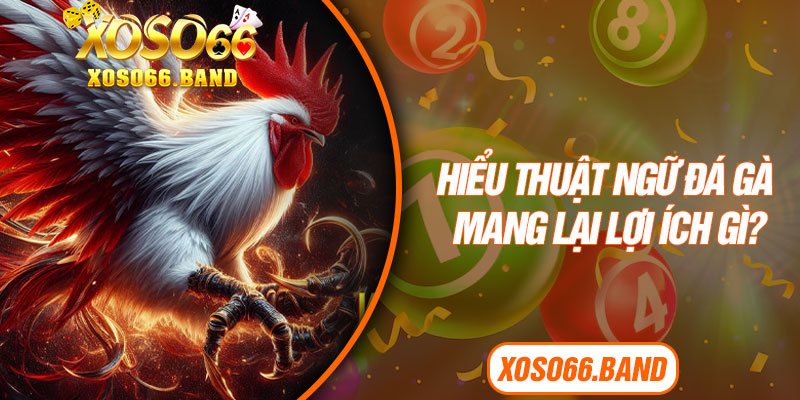 Hiểu thuật ngữ đá gà mang lại lợi ích gì?
