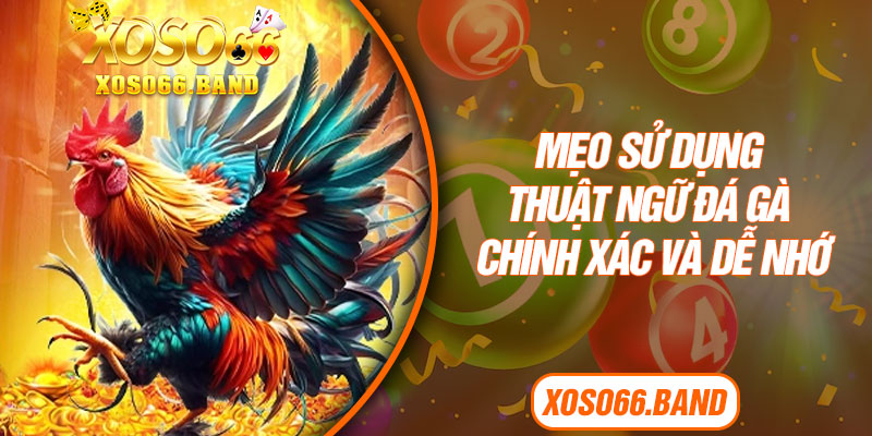 Mẹo sử dụng thuật ngữ đá gà chính xác và dễ nhớ